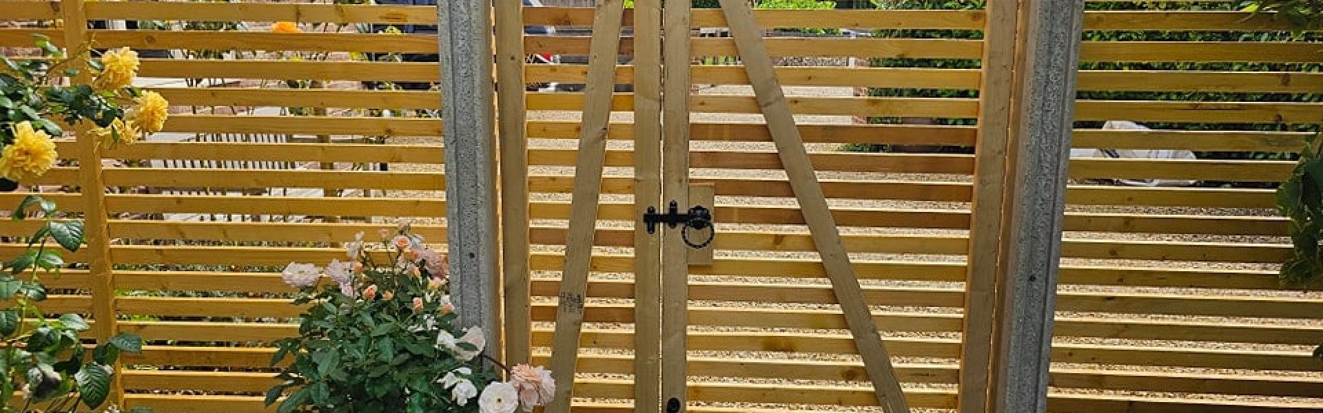 376424135_780102430788883_4865199950304566564_n